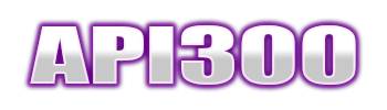 Logo API300